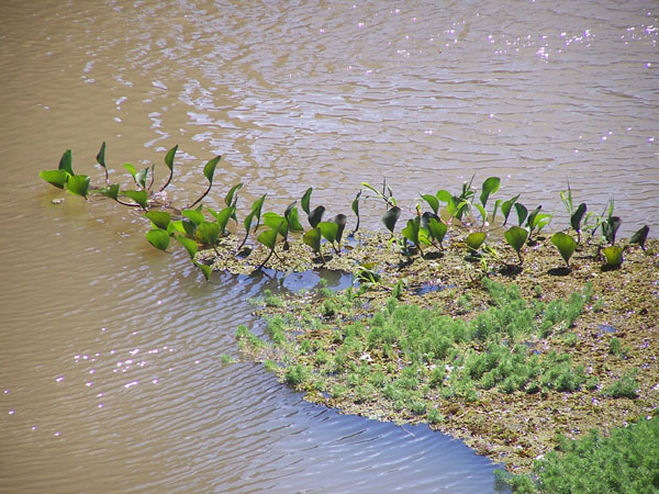 Rio Itanas