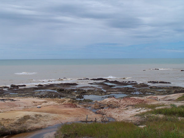 Paria do Tororo
