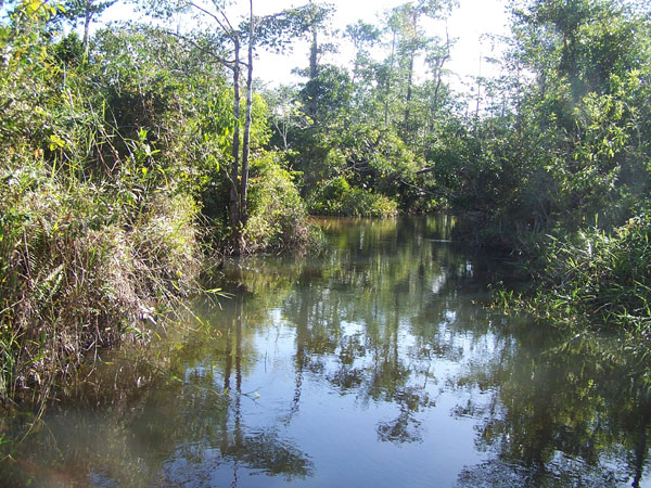 Rio Japara Grande