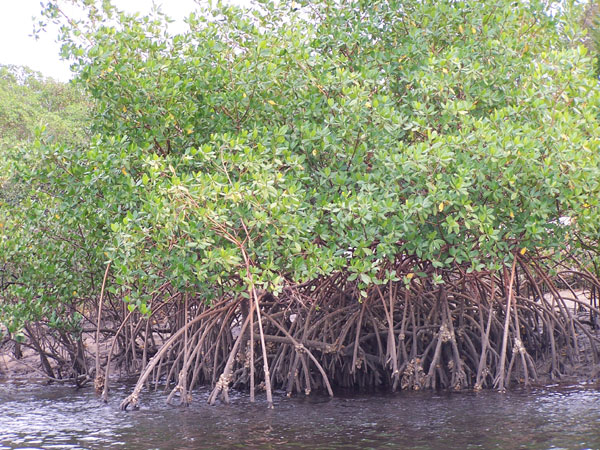 Rio Corumbau
