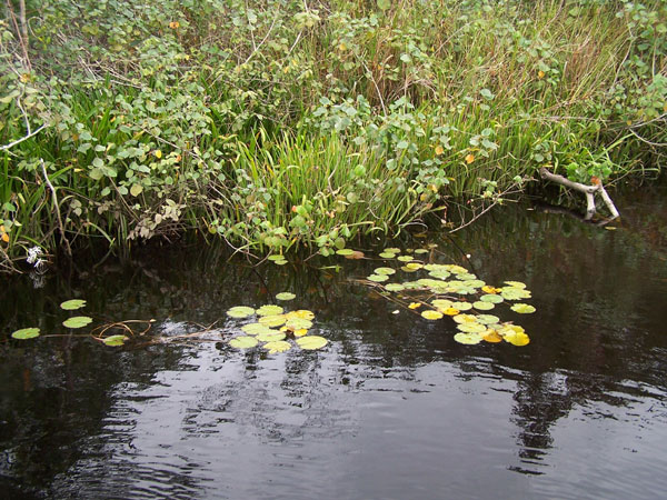 Rio Corumbau