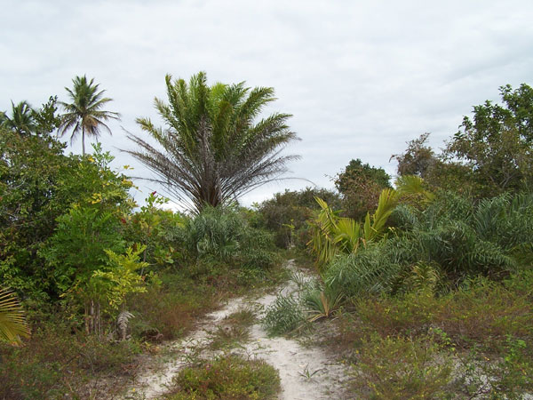 Rio Corumbau